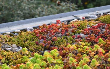 the cost of Rain Shore green roof installation
