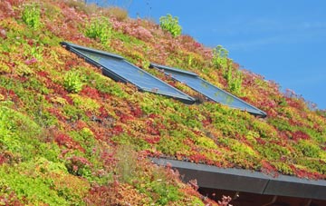 Rain Shore living roof systems